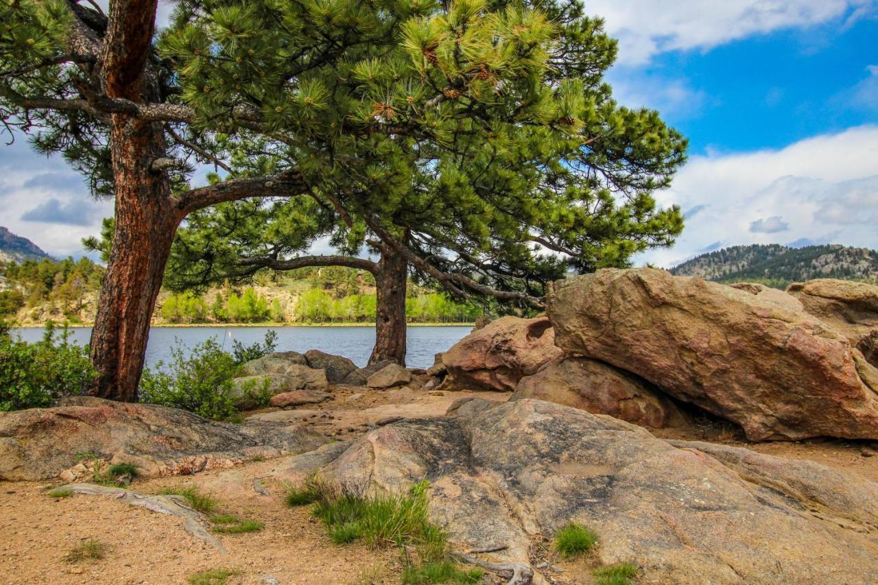 Twin Pines Cabin Estes Park Extérieur photo